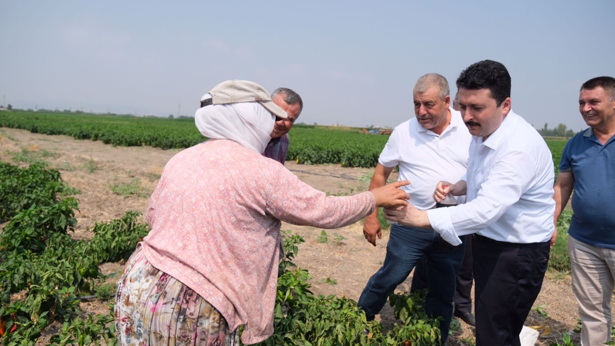 Altıeylül’de Hasat Vakti
