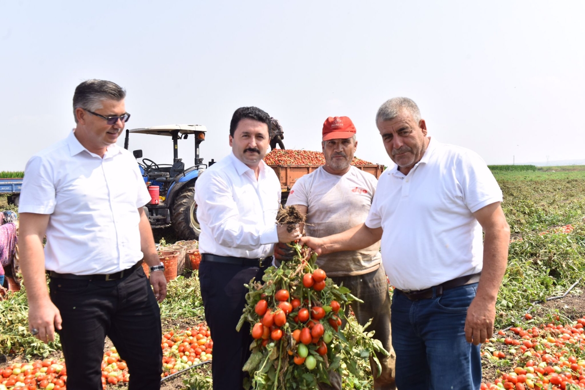 Altıeylül’de Hasat Vakti