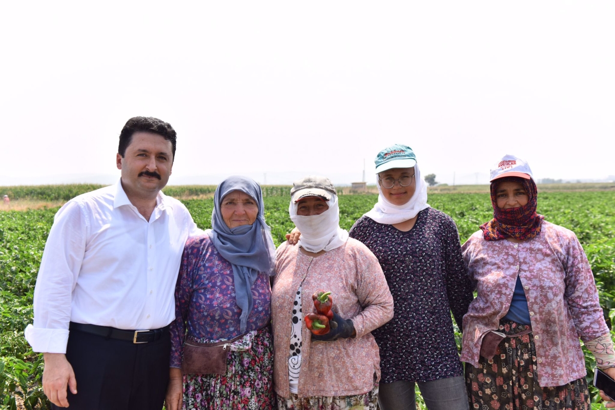 Altıeylül’de Hasat Vakti
