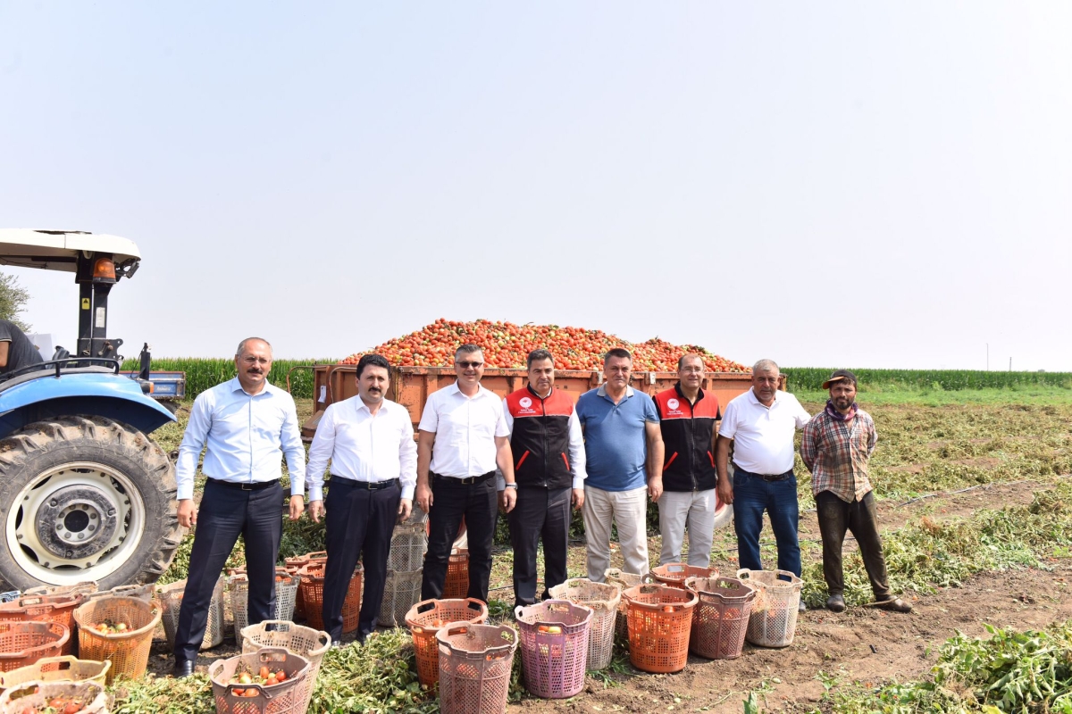 Altıeylül’de Hasat Vakti