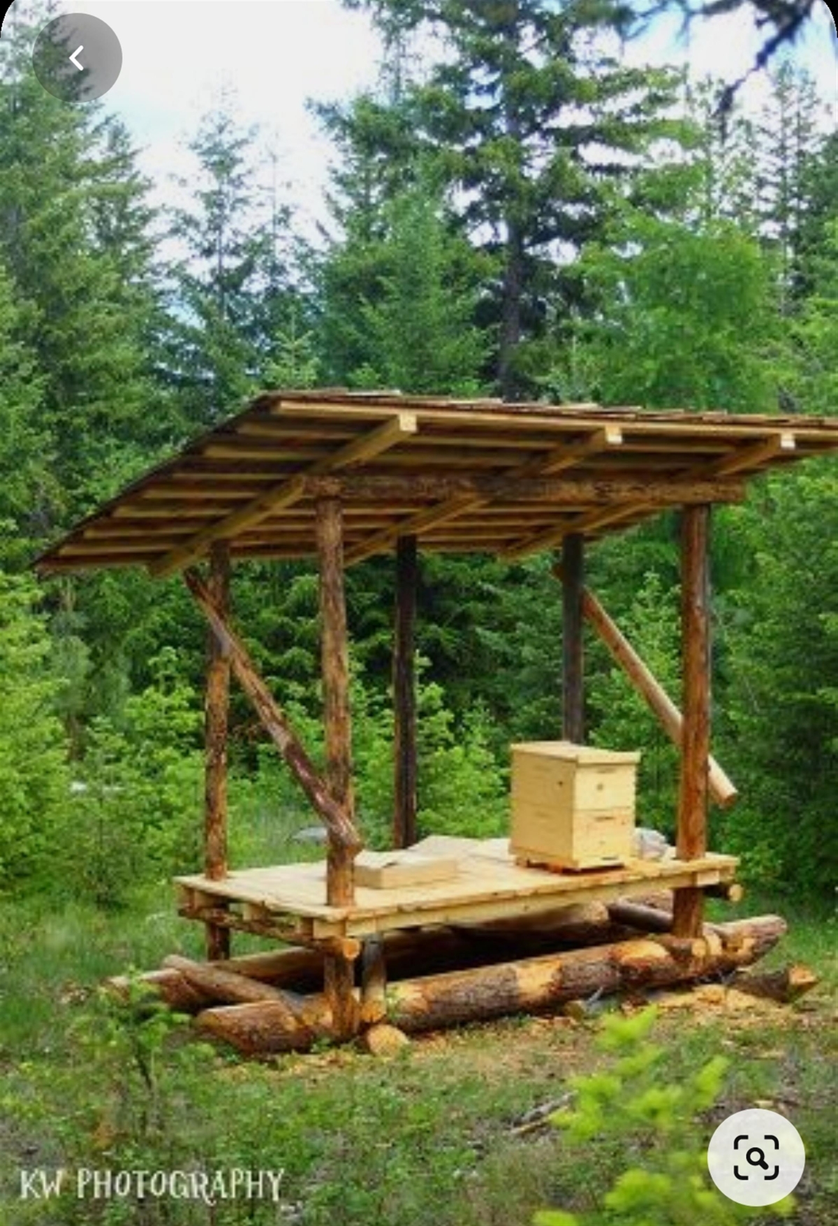 Kazdağları Bal Ormanı şifa dağıtacak