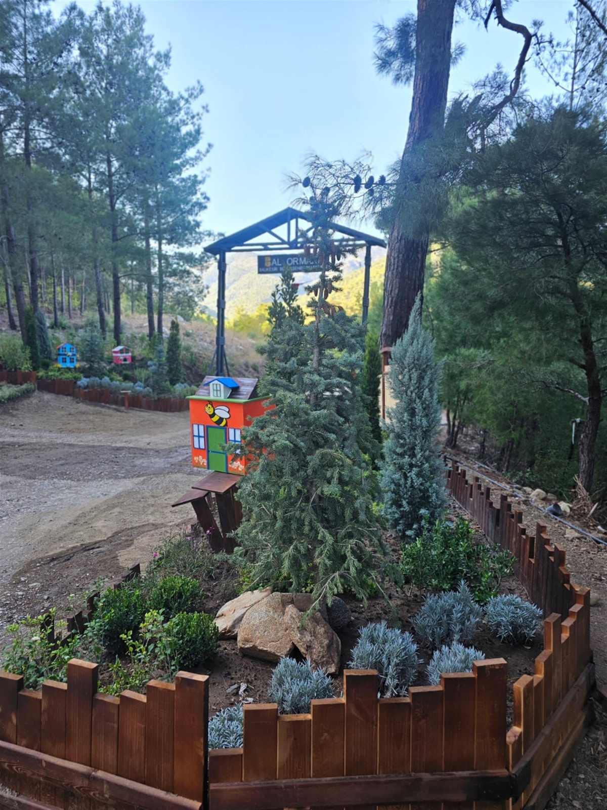 Kazdağları Bal Ormanı şifa dağıtacak
