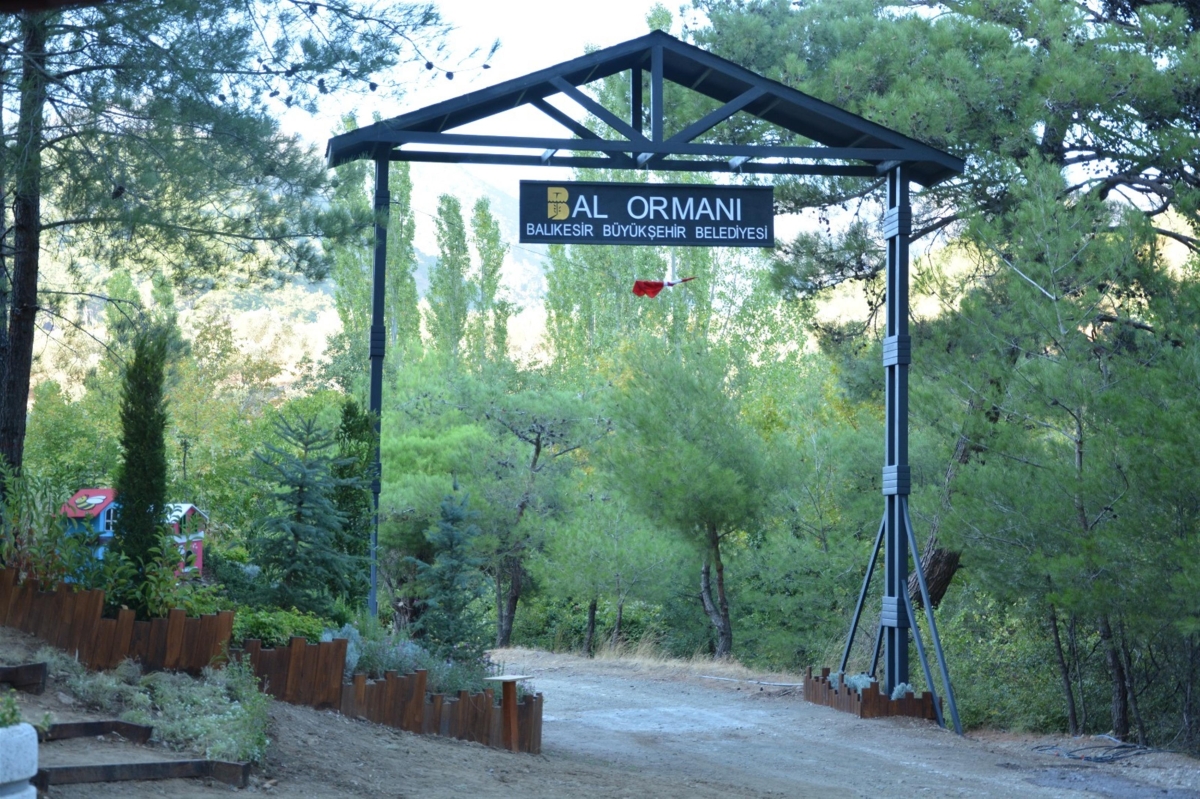 Kazdağları Bal Ormanı şifa dağıtacak