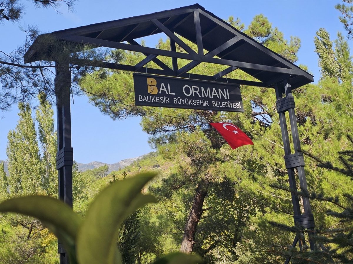 Kazdağları Bal Ormanı şifa dağıtacak