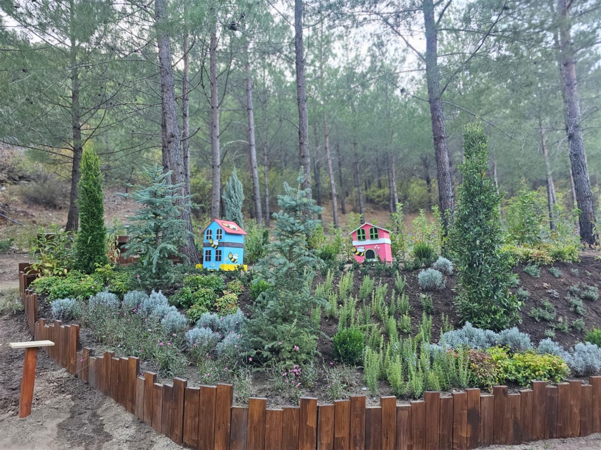 Kazdağları Bal Ormanı şifa dağıtacak