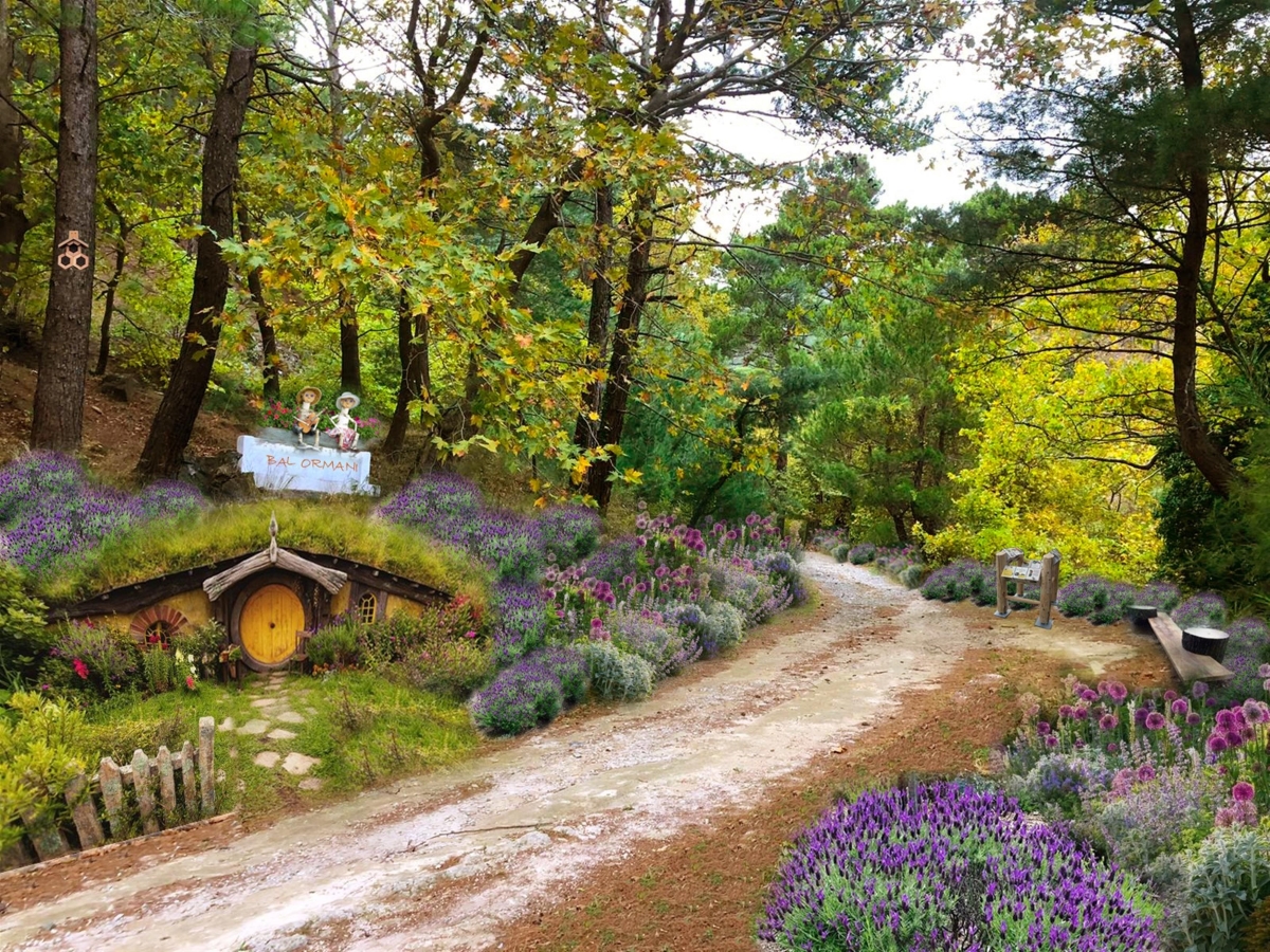 Kazdağları Bal Ormanı şifa dağıtacak