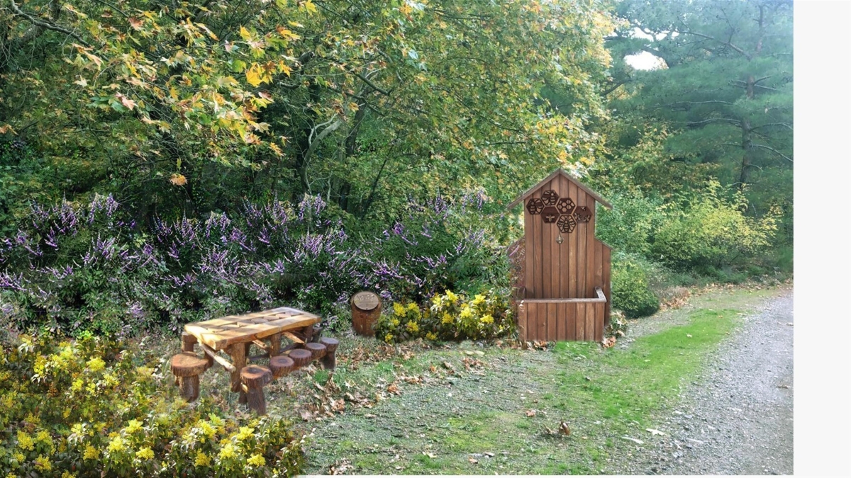 Kazdağları Bal Ormanı şifa dağıtacak
