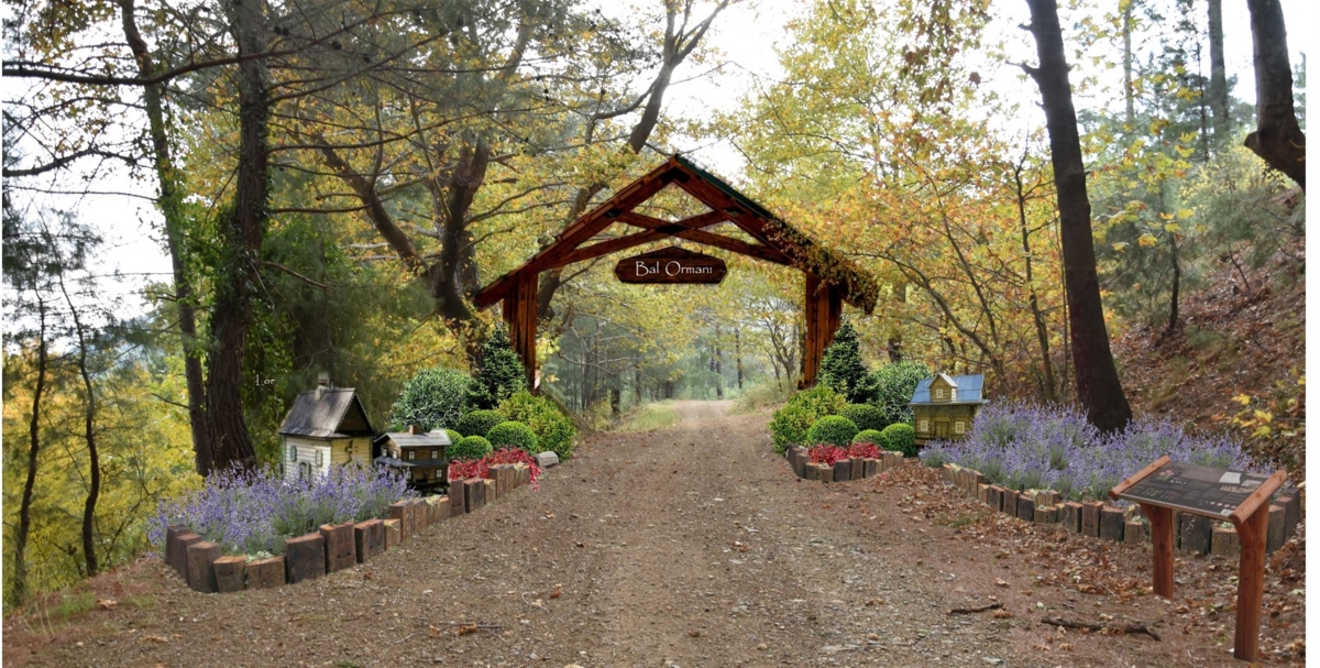 Kazdağları Bal Ormanı şifa dağıtacak