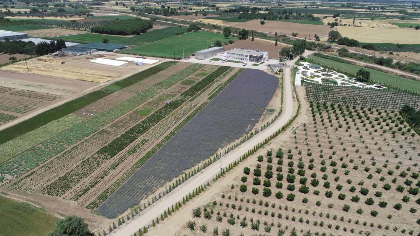 Balıkesir 5. Aromaterapi Festivali 4-7 Temmuz’da