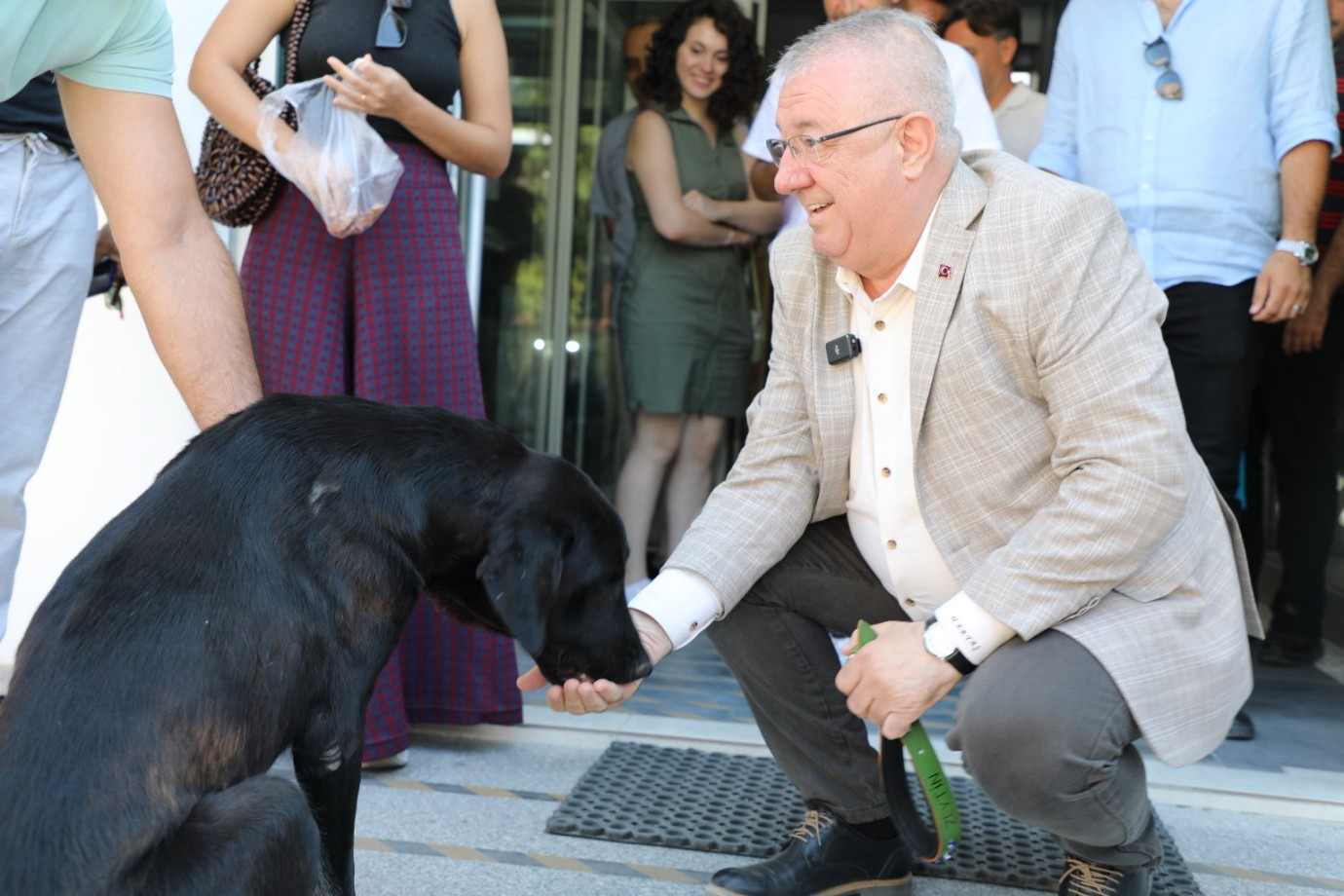 Edremit Belediye Başkanı Mehmet Ertaş sokak köpeğini sahiplendi