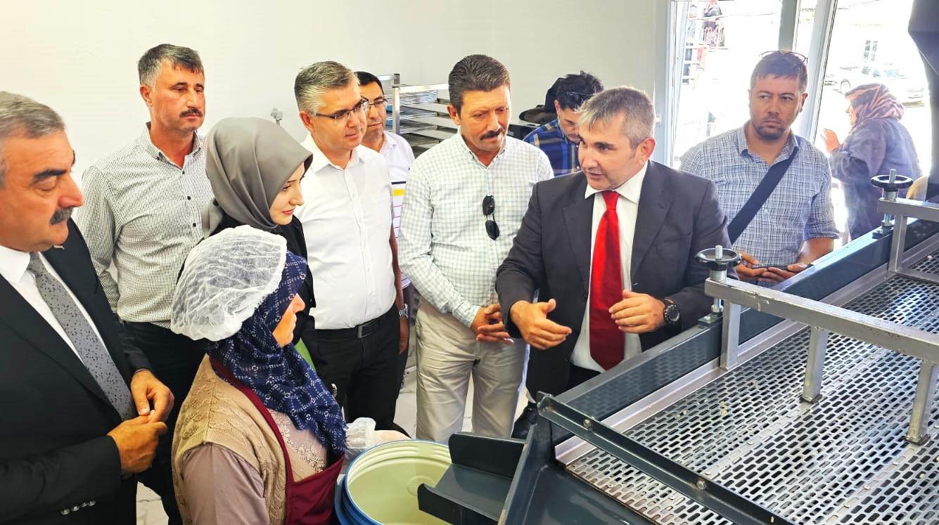 BADALAN FASULYESİ KATMA DEĞERLİ ÜRÜN OLUYOR