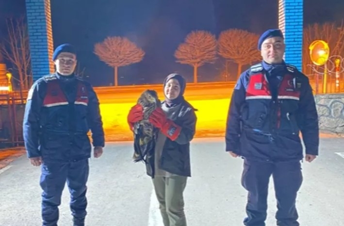 Eskişehir'de Yaralı Kızıl Şahin Tedavi Ediliyor
