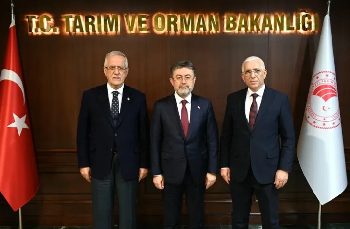Marmarabirlik: Dane Zeytine Prim Desteği Devam Etmeli! Bakan Yumaklı’ya Rapor Sunuldu