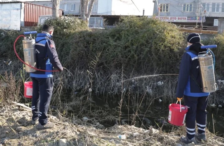 Muğla'da Sivrisinekle Mücadele Aralıksız Sürüyor