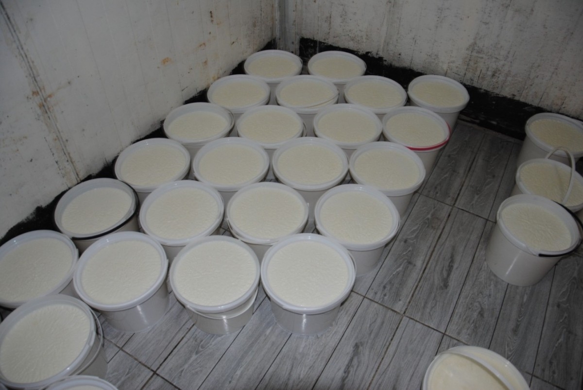 Büyükşehir Belediyesi, Sağlıksız Koşullarda Üretilen 120 Kova Yoğurdu Ele Geçirdi