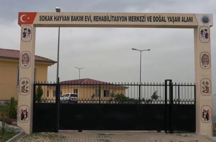 Siirt’te Sahipsiz Hayvanlara Umut Olacak Büyük Proje