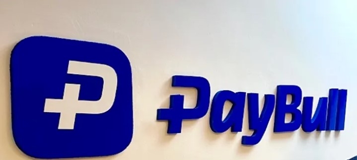 Paybull’un Faaliyet İzni Resmen İptal Edildi