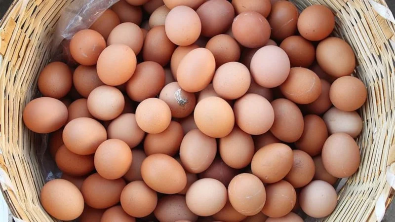 Yumurtanın Doğrudan Satışına Yeni Düzenleme