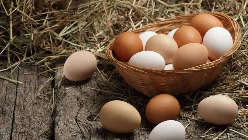 Kümes Hayvancılığında Dengeler Değişti: Yumurta Arttı, Et Azaldı