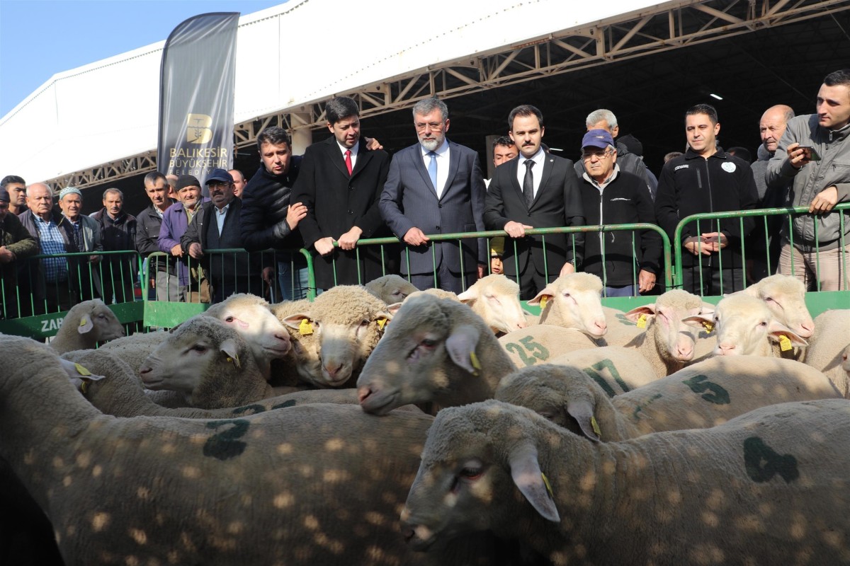 BBB yüzde 100 hibe ile koç dağıttı
