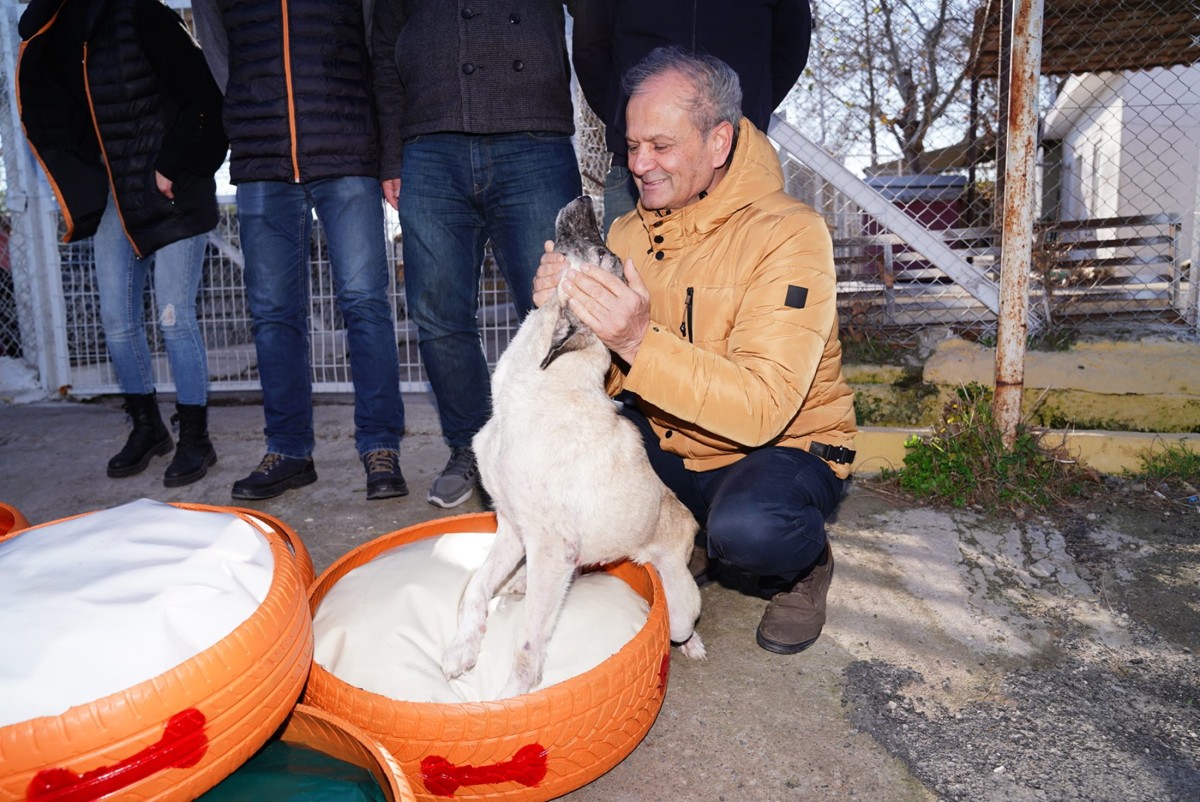 ESKİ LASTİKLER BARINAKTAKİ CAN DOSTLARIMIZ İÇİN YATAK OLDU