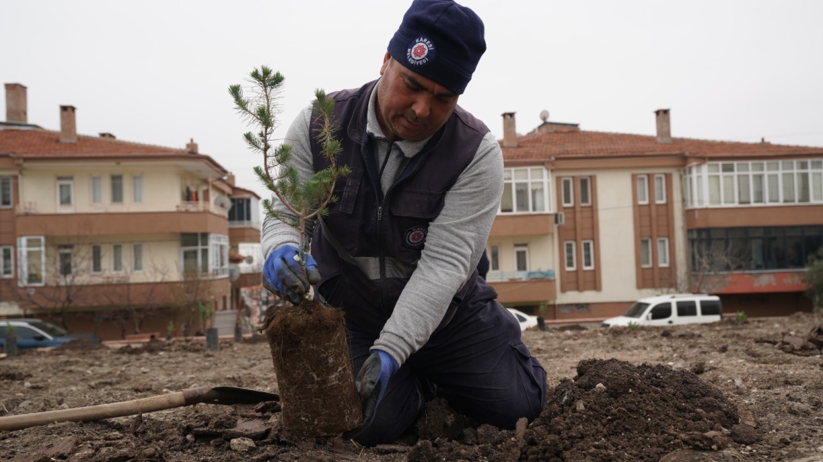 KARESİ YEŞİLLENİYOR