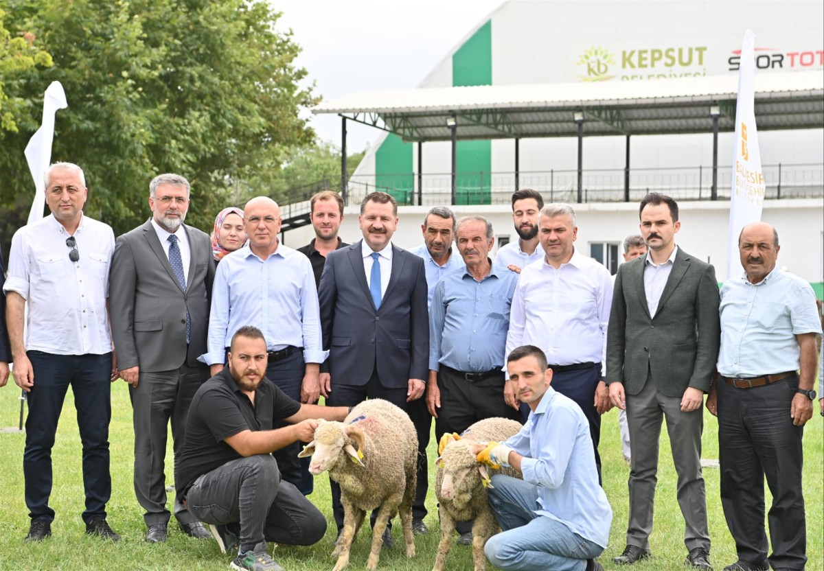 85 üreticiye 585 küçükbaş desteği