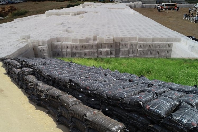 Zeytin ve İncir Üreticilerine Önemli Destek Sağlanıyor