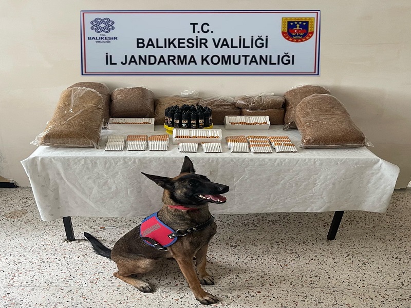 Jandarma'dan kaçak tütün operasyonu