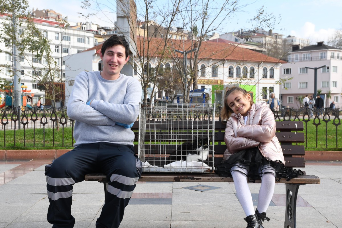 Olta iğnesi yutan kedi doğal ortamına salındı