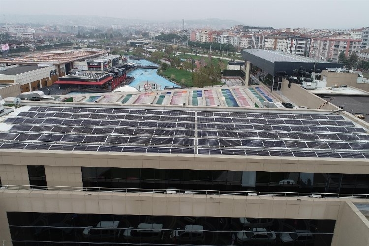 Güneş Enerji Santralleri (GES), Binlerce Ağacı Koruma Altına Alıyor