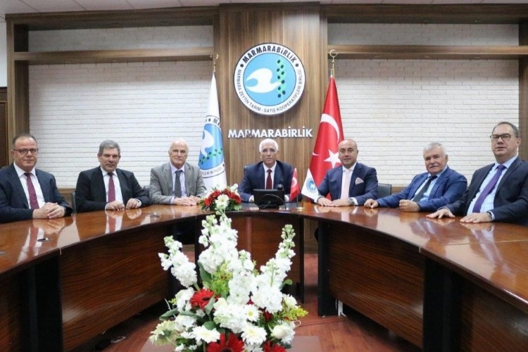 Zeytin Üreticilerine 860 Milyon TL Kredi Desteği Sağlanacak