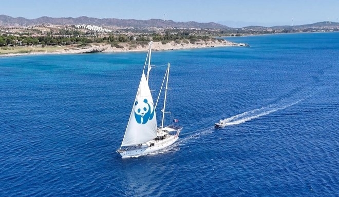 Türkiye'de 'Blue Panda' ile Mavi Ormanlar Projesi