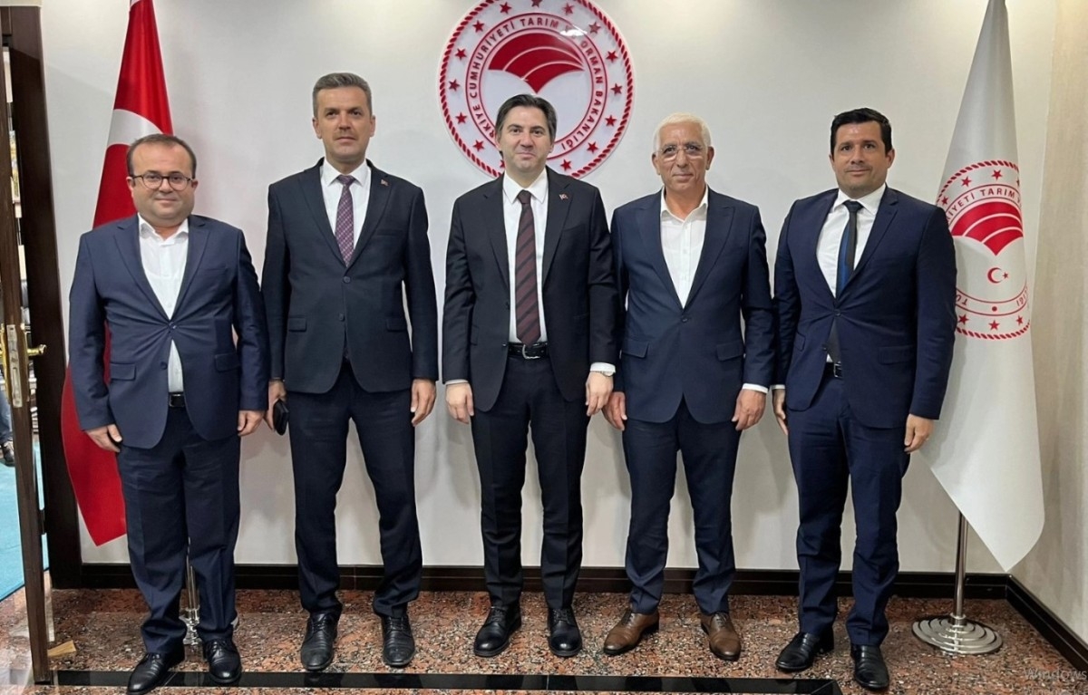 Marmarabirlik, Zeytin Hasadı Öncesi Bakanlığa İhracat Kısıtlamalarının Kaldırılması İçin Görüşme Yaptı